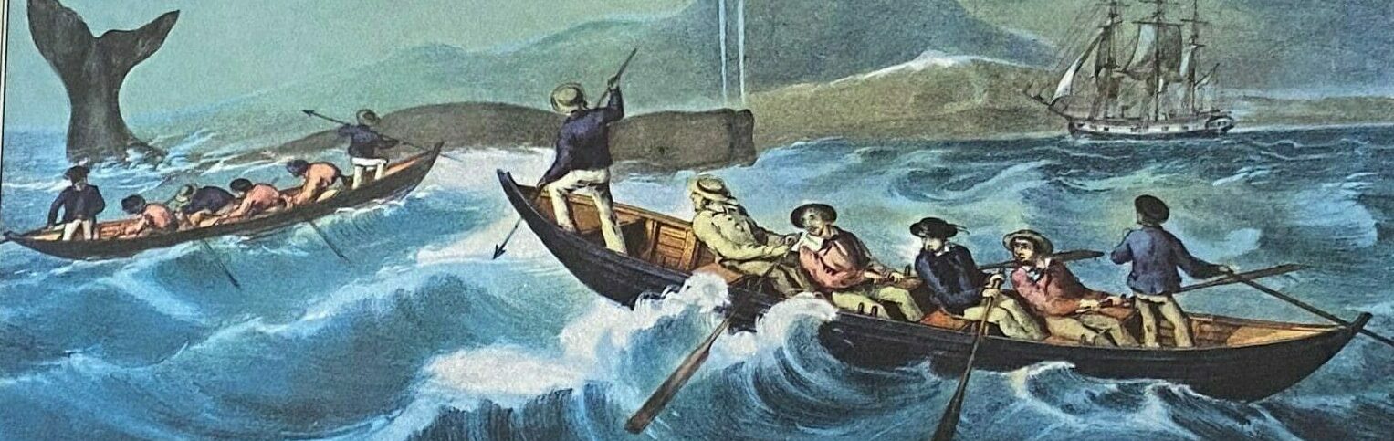 Three Disciplines of a Moby Dick Disciplemaker