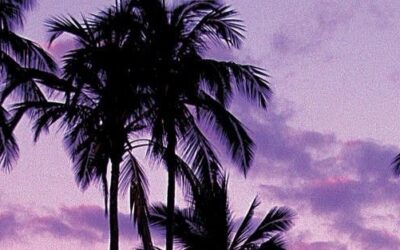 Who wants to live like a palm tree?