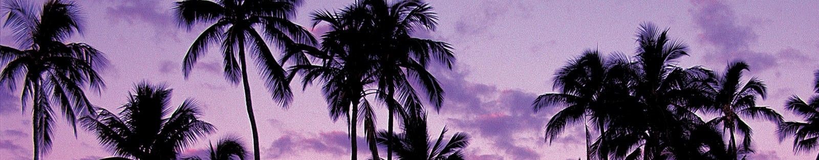 Who wants to live like a palm tree?
