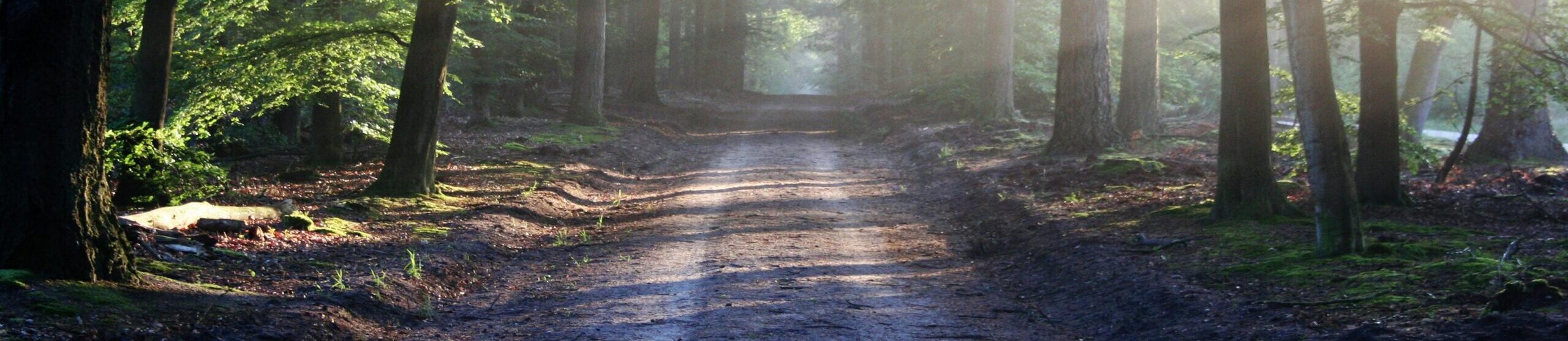 My journey through discipleship