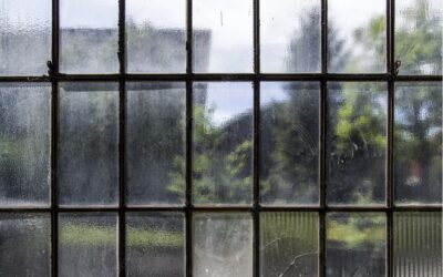 Imagine Kissing Someone Through a Pane of Glass?