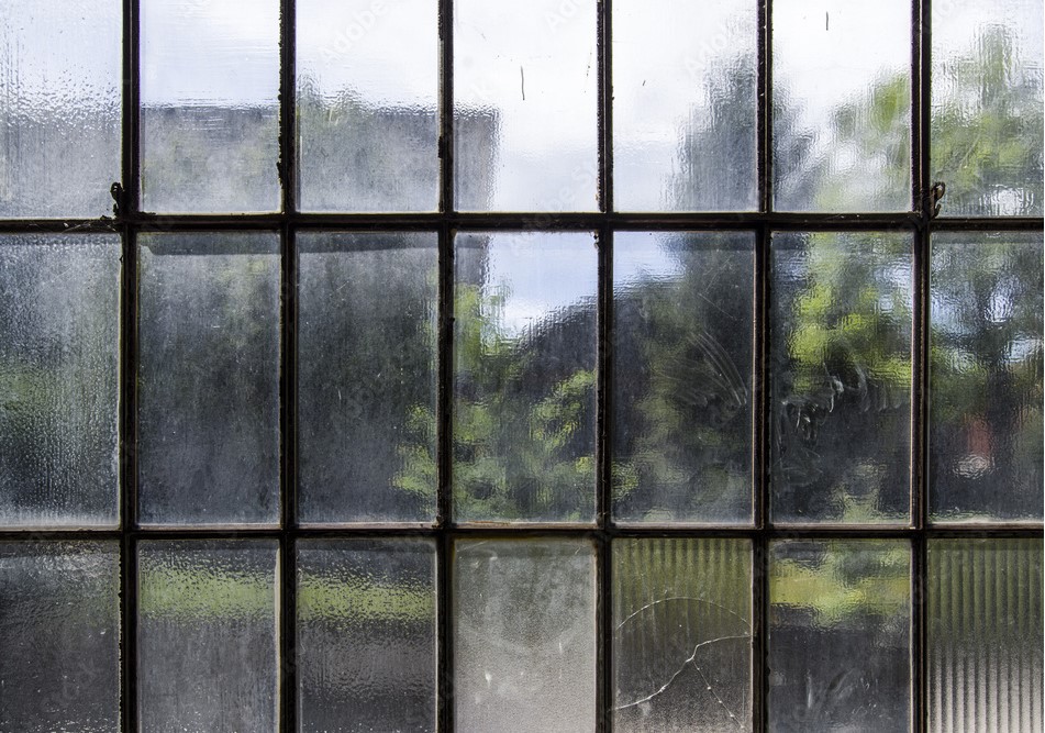 Imagine Kissing Someone Through a Pane of Glass?