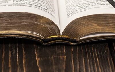 How Psalm 119 Changed my Life